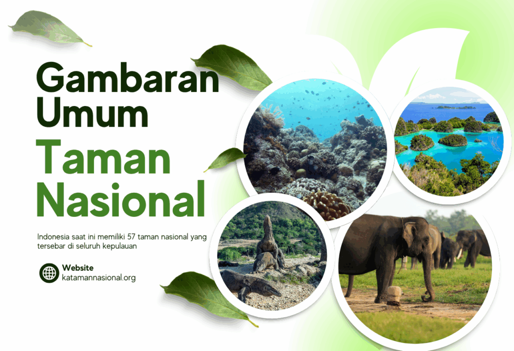 GAMBARAN TAMAN NASIONAL