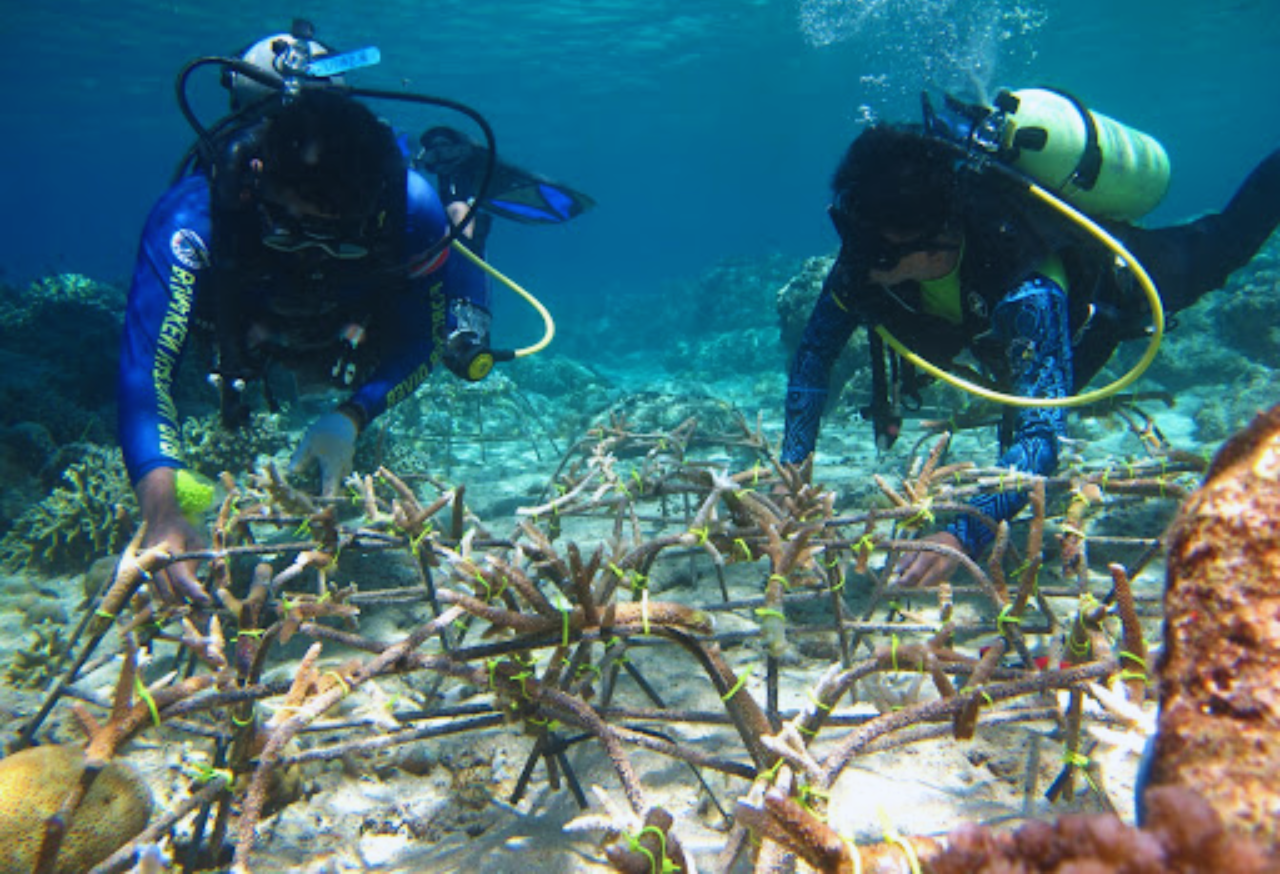 PROGRAM ALAM HABITAT RESTORATION