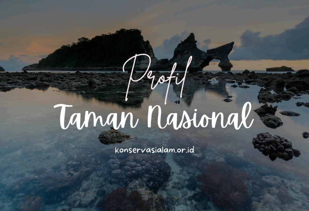 PROFIL TAMAN NASIONAL