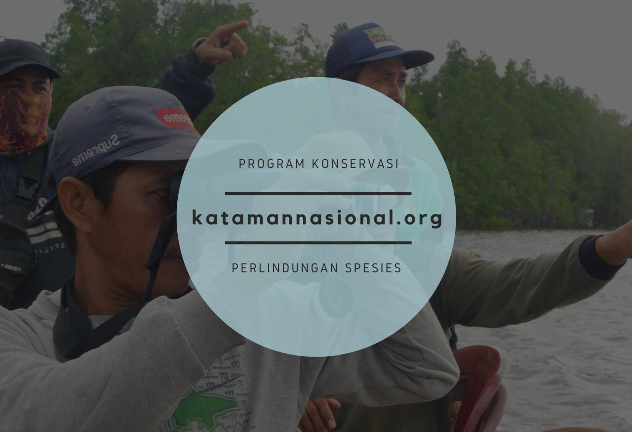 PROGRAM KONSERVASI