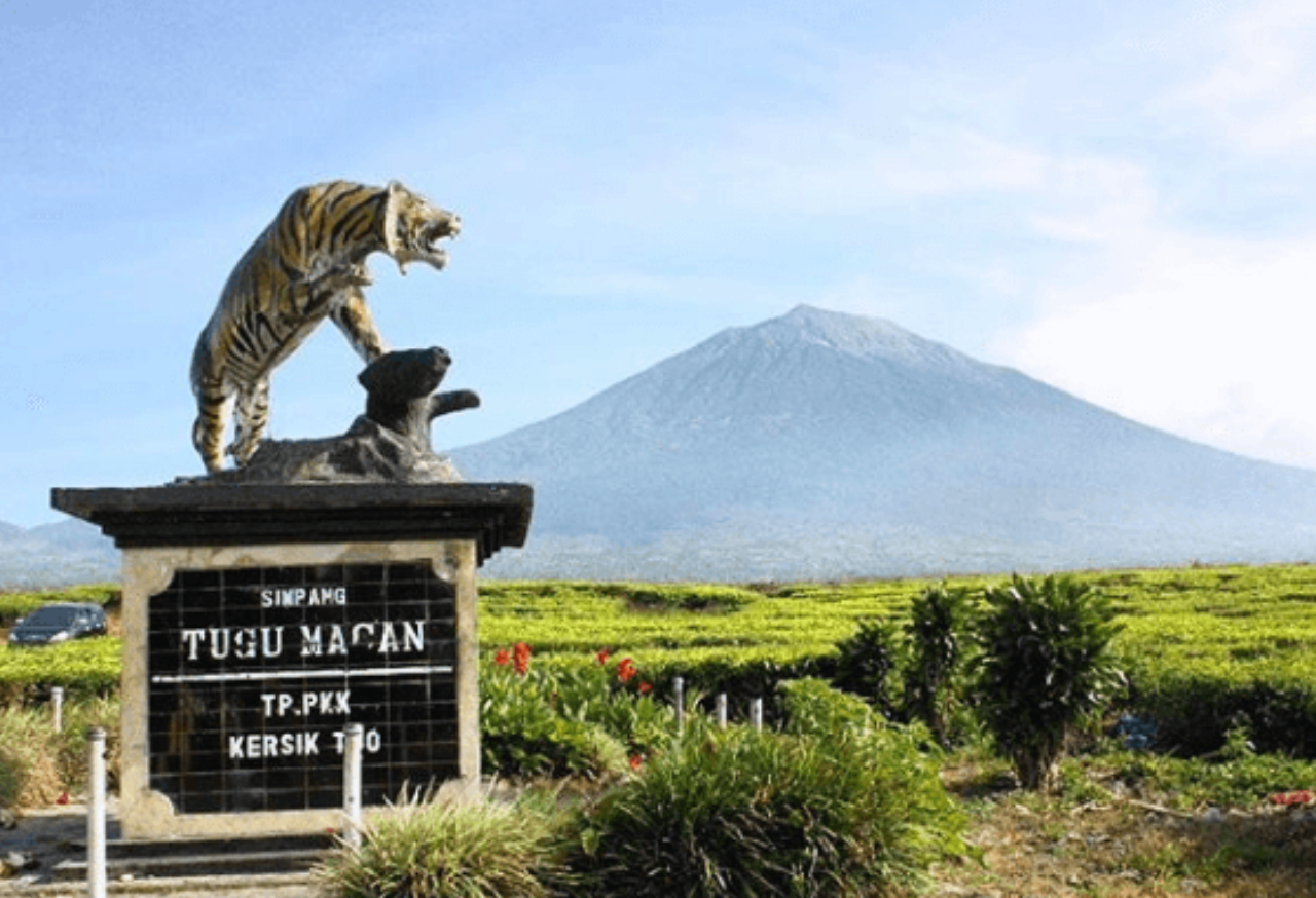 TAMAN NASIONAL KERINCI