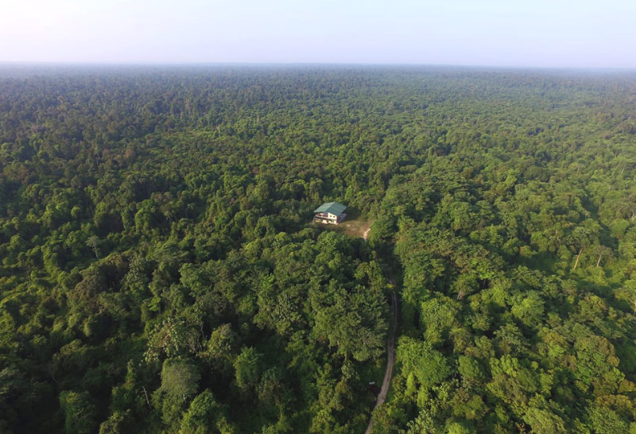 TAMAN NASIONAL TESSO NILO
