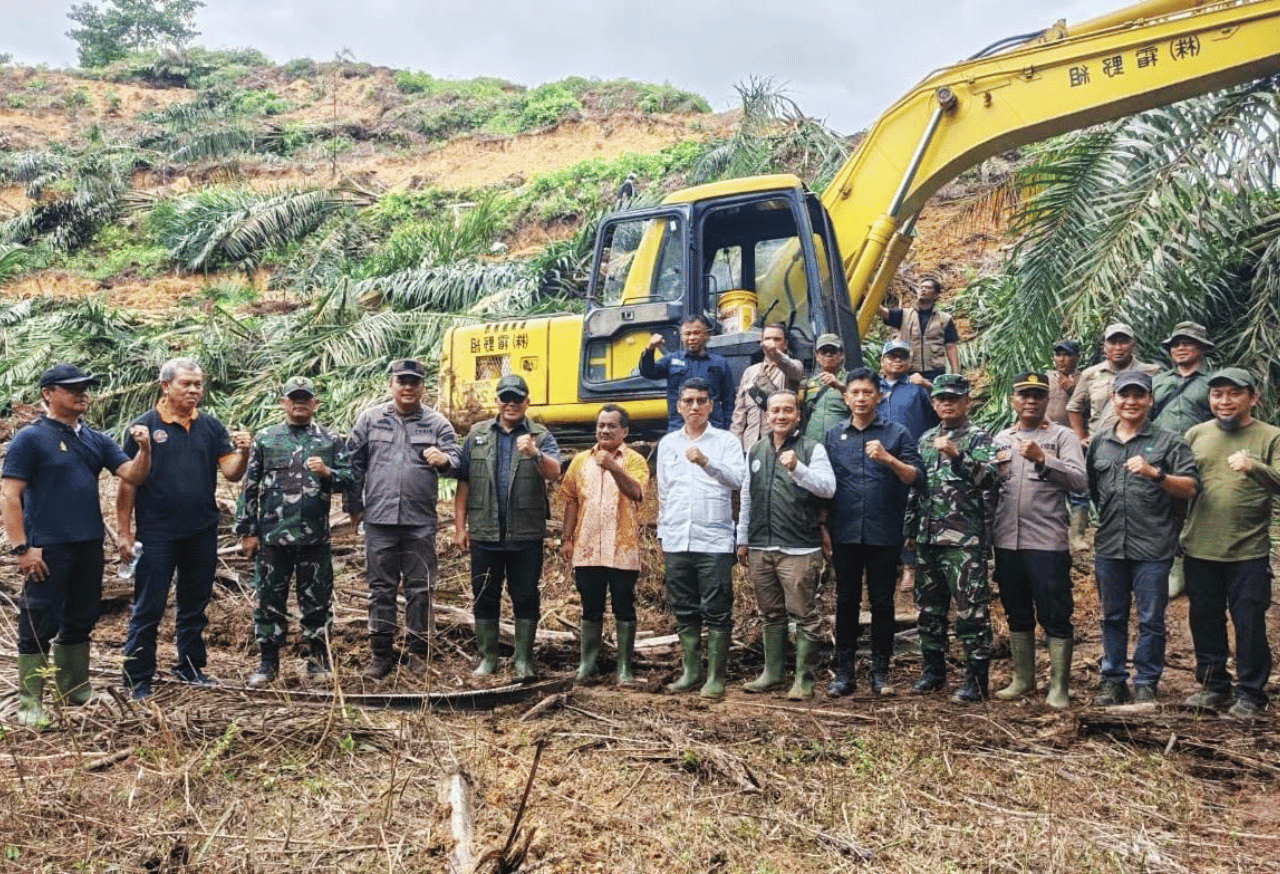 360 Ha Kebun Sawit Ilegal di Taman Nasional Leuser Dimusnahkan